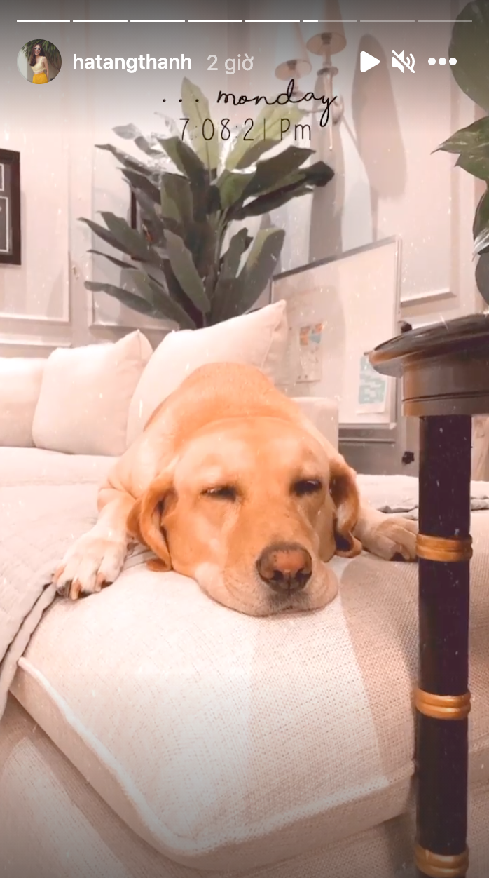 Không gian phòng khách thanh lịch nhưng cũng toát lên nét giàu sang, quý phái. Ảnh: Instagram