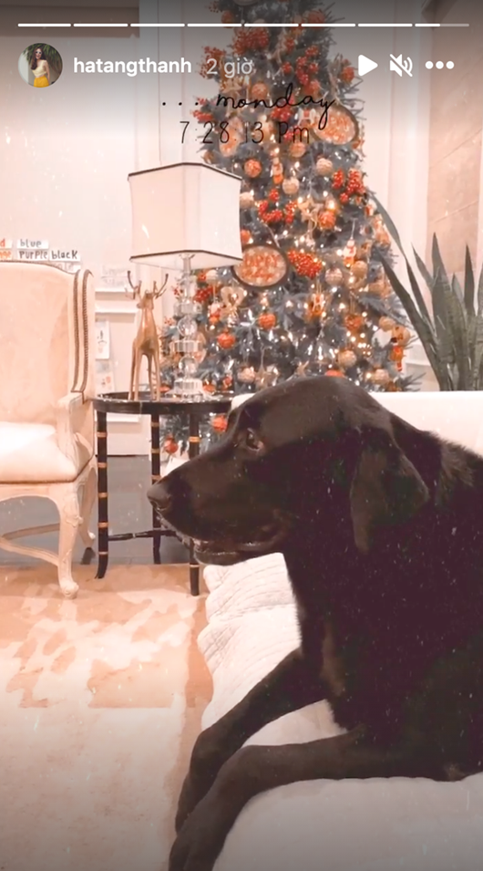 Nổi bật nhất là cây thông Noel rực rỡ, bắt mắt với nhiều phụ kiện chủ yếu màu nâu và đỏ. Ảnh: Instagram