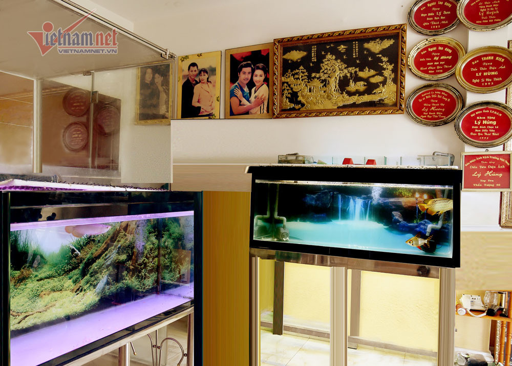 Nuôi chó, chơi cá, chăm sóc cây cảnh và tập thể dục là những món con trai NSND Lý Huỳnh thường xuyên duy trì. Ảnh: Vietnamnet.