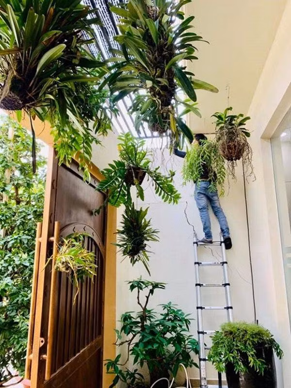 Hai Bang 2 nam tau 3 can nha nhung nha dang o moi dep-Hinh-6