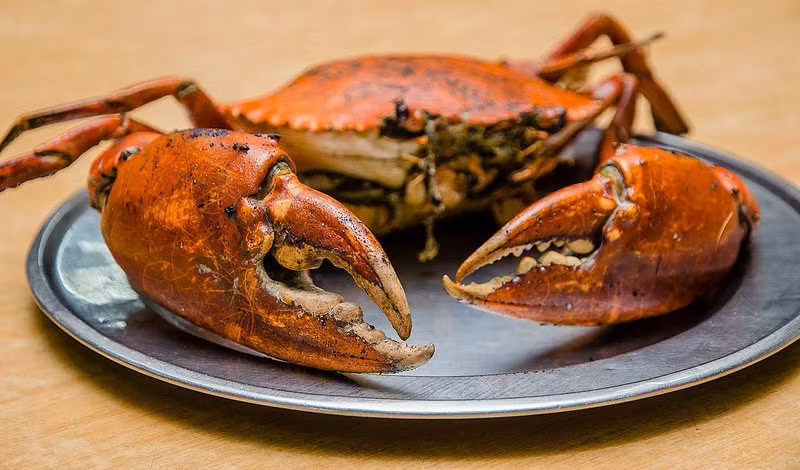 Khi thấy cua chuyển sang màu đỏ sẫm thì lấy cua ra, lột bỏ lớp giấy bạc bên ngoài rồi tiếp tục nướng lại một lần nữa.