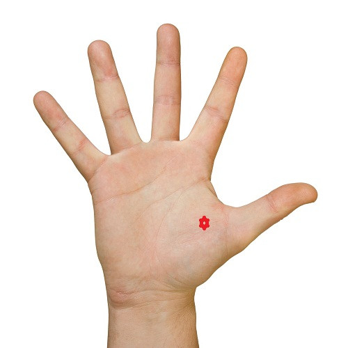 Gò Kim tinh (phía dưới ngón tay cái) xuất hiện hình ngôi sao là người sẽ thành công trong sự nghiệp quân sự.