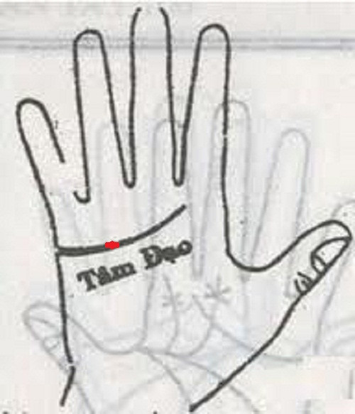 Một ngôi sao trên đường Tâm Đạo là người giàu sang, hưởng nhiều gia tài bất ngờ.