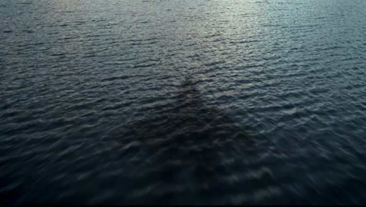 Hình bóng của chiếc tiêm kích Su-59 xuất hiện trong đoạn video quảng cáo của Nga.