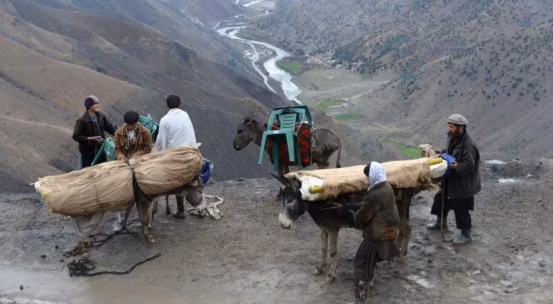 Các nhà hoạt động nhân quyền thế giới cũng khẳng định, thảm kịch nhân đạo đang diễn ra tại thung lũng Panjshir sau khi Taliban kiểm soát khu vực này.