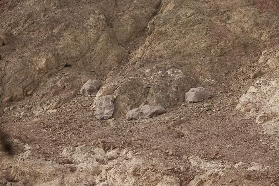 Về cơ bản, đây chỉ là một tấm vải được làm bằng chất liệu đặc biệt, cho phép người lính "tàng hình" trước các thiết bị ảnh nhiệt và hồng ngoại của đối phương.