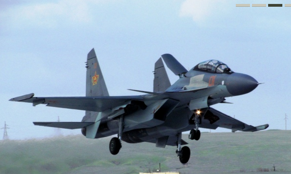 Hiện nay nhiều phiên bản xuất khẩu của Su-30 đã được phát triển, có tính đến nhu cầu của một quốc gia cụ thể, nhà báo của Tạp chí National Interest nhấn mạnh.