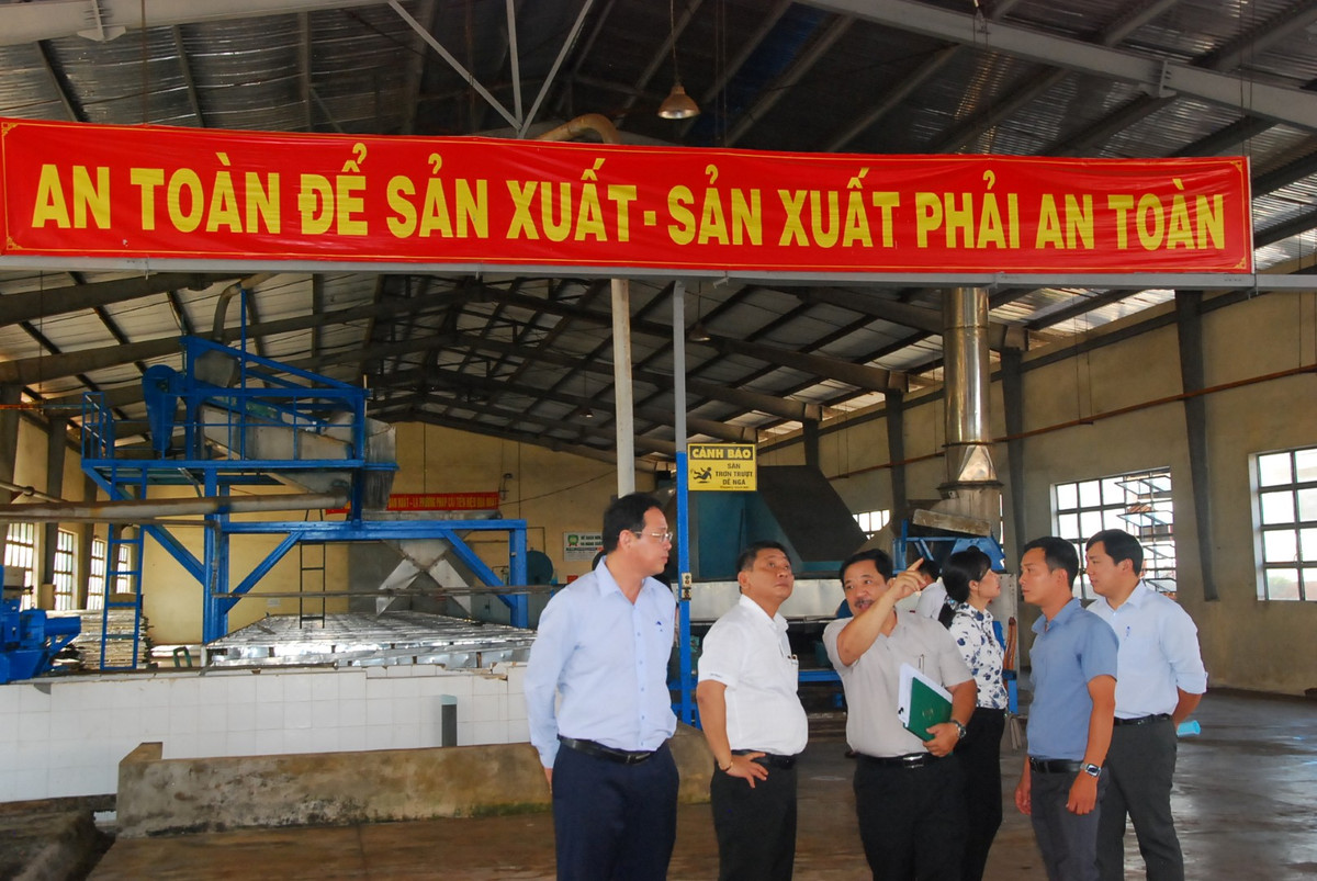 Chia khoa thanh cong cua Cong ty Cao su Mang Yang