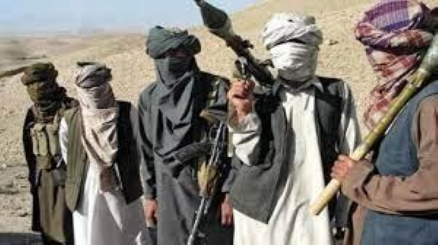 Nhóm Tehreek-e-Taliban Pakistan là một đồng minh quan trọng của Taliban nhưng lại là kẻ thù của Pakistan.