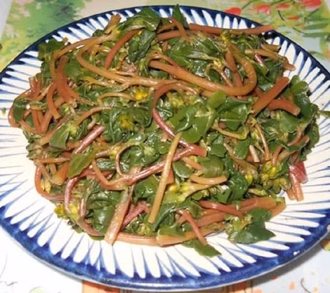 Rau sam mọc hoang ở khắp những nơi ẩm ướt của nước ta, còn thấy mọc ở nhiều nước khác như Trung Quốc, Nhật Bản, Ấn Độ, Châu Âu.