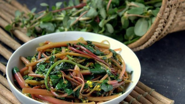 Loại cây này thuộc họ Rau sam (Portulacaceae), sống được một năm và có chiều cao phát triển lên đến 40cm.