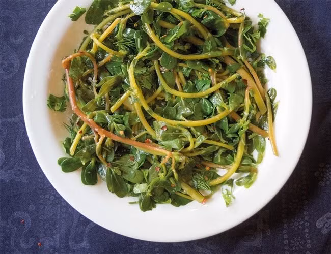 Đây cũng là loại rau chứa nhiều loại vitamin cũng như các chất khoáng dinh dưỡng như magiê, canxi, kali và sắt.