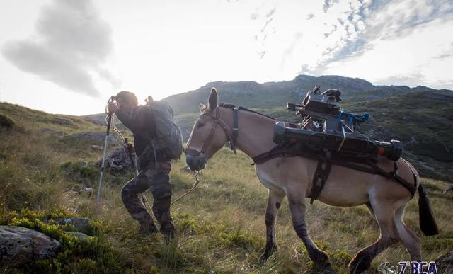 Trong quá khứ, Sư đoàn Sơn cước 27 của Pháp cũng sử dụng phương thức y hệt để tham chiến trong giai đoạn cuối của Chiến tranh Thế giới thứ hai, và giành được rất nhiều chiến thắng.
