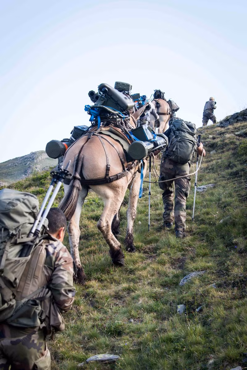 Ngoài ra, địa hình của khu vực núi cao ở châu Âu, cũng sẽ cung cấp đủ cỏ làm lương thực cho những "phương tiện vận tải" độc đáo này, giảm tải rất lớn cho gánh nặng hậu cần.