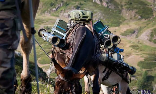 Ngoài việc sử dụng phương tiện vận tải đặc biệt, lực lượng này cũng có trang bị những loại vũ khí đặc biệt, có uy lực cao nhưng phải đảm bảo nhỏ gọn, dễ dàng mang vác bằng động vật thồ hoặc sức người.