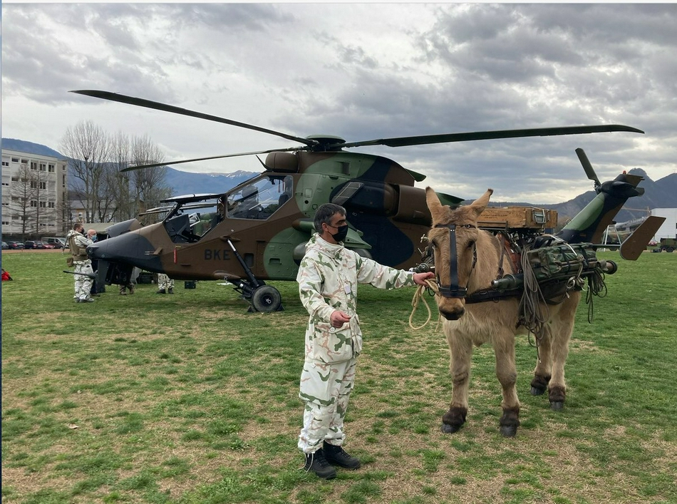 Thậm chí, lực lượng sơn cước này của Pháp vẫn sử dụng ngựa và la trong biên chế, để làm nhiệm vụ vận tải.