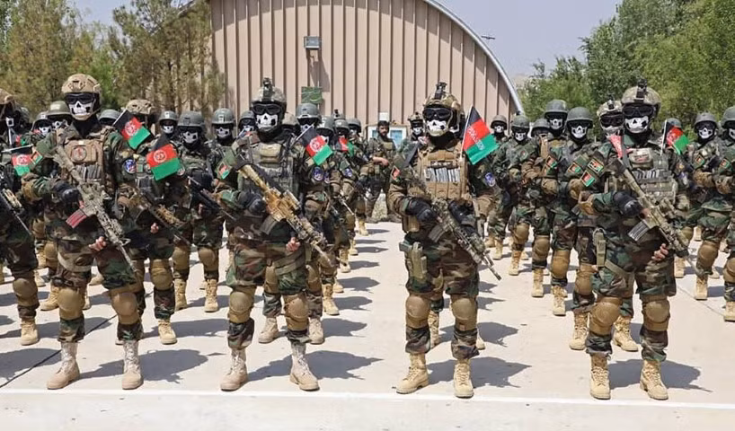 Những người lính này giúp đảm bảo an ninh tại sân bay khi Mỹ chưa kip điều động thêm quân, họ cũng tiến hành phân luồng cho các dòng người tiến vào sân bay, thông dịch và giúp kiểm soát giấy tờ hợp lệ cho những người Afghanistan đủ điều kiện di tản.