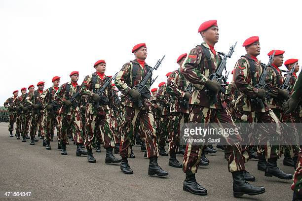 Trong tình trạng tổng động viên toàn quốc, Indonesia có thể huy động cùng lúc hơn 100 triệu người. Nếu tính riêng về nguồn nhân lực sẵn sàng phục vụ chiến tranh, Indonesia chỉ thua Trung Quốc, Ấn Độ và Mỹ.