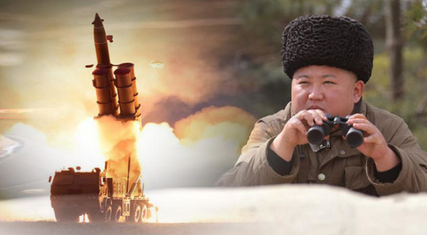 Triều Tiên sở hữu ít nhất 5 hệ thống pháo vươn tới được thủ đô Seoul của Hàn Quốc, gồm pháo Koksan 170 mm và pháo phản lực phóng loạt 240 mm, 300 mm có khả năng tấn công các vùng ngoại ô phía bắc và một số phần của thành phố này.