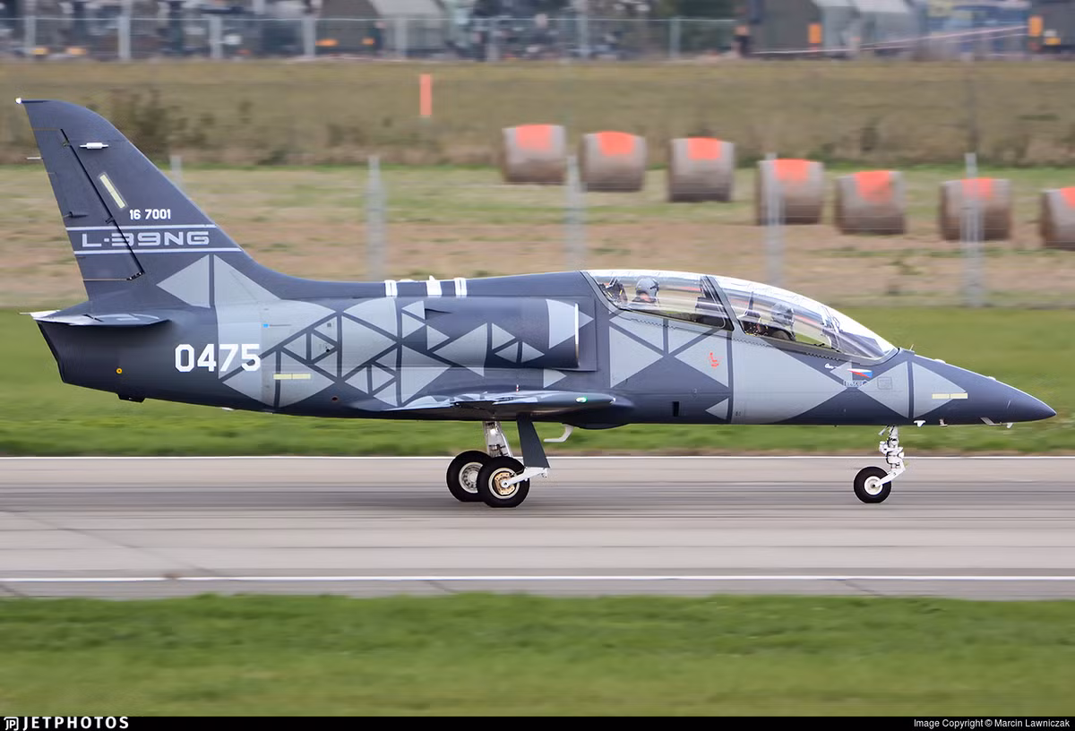 Dù chỉ là phi cơ phục vụ hoạt động huấn luyện, L-39NG cũng có khả năng mang vũ khí khá đáng nể. Tối đa nó mang theo được tới 1,2 tấn vũ khí với 5 giá treo dưới cánh và thân.