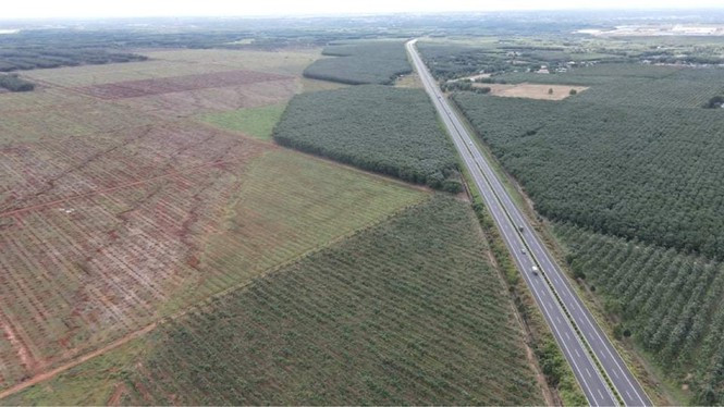 San bay Long Thanh: 10 nam tu phe duyet den khoi cong du an-Hinh-2