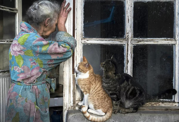Người phụ nữ lớn tuổi và những con mèo bên cạnh ngôi nhà của bà ở thị trấn Lachin (Berdzor), Nagorno-Karabakh. Ảnh: Sputnik