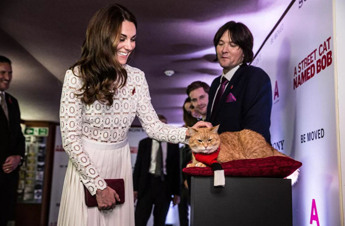 Nữ công tước xứ Cambridge Catherine tại buổi ra mắt phim "Con mèo đường phố tên là Bob" ở London, Anh. Ảnh: AFP