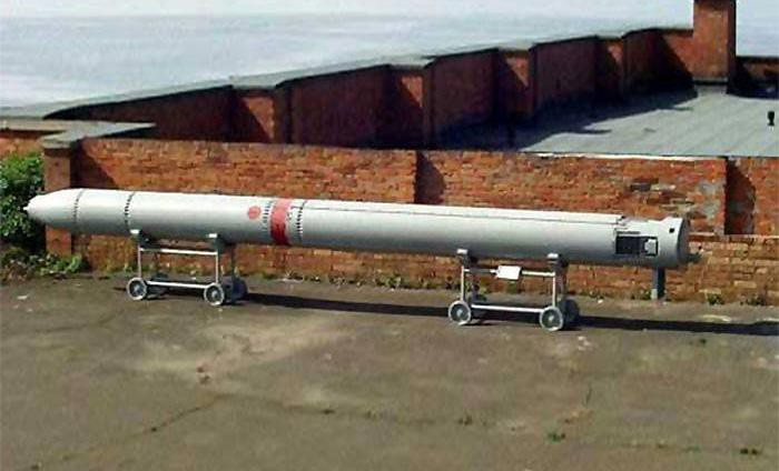 Một trong những vũ khí mạnh mẽ của tàu là tên lửa hành trình chống ngầm RPK-7 Veter (NATO định danh là SS-N-16) và RPK-2 Viyuga (NATO định danh là SS-N-15) đạt tầm bắn lần lượt 120km và 45km.