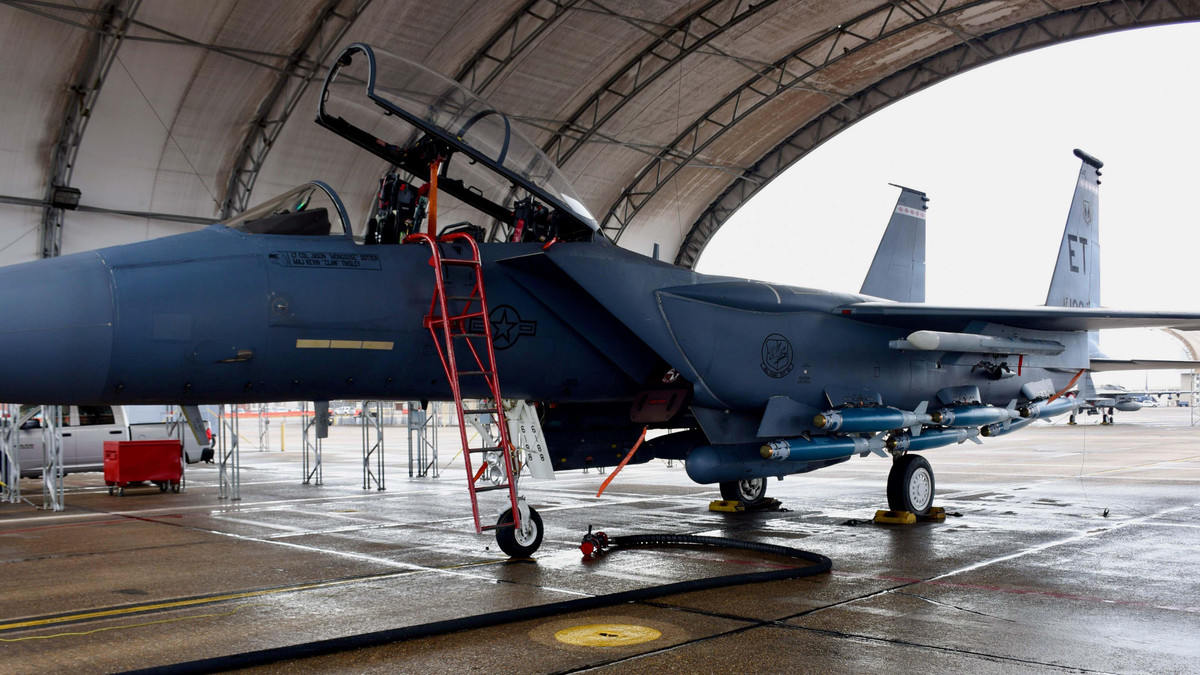 Điều đặc biệt là F-15E có thể được điều khiển bởi sĩ quan WSO dù với tầm nhìn hạn chế. Điều này rất quan trọng nếu phi công điều khiển ngồi ghế trước gặp vấn đề.