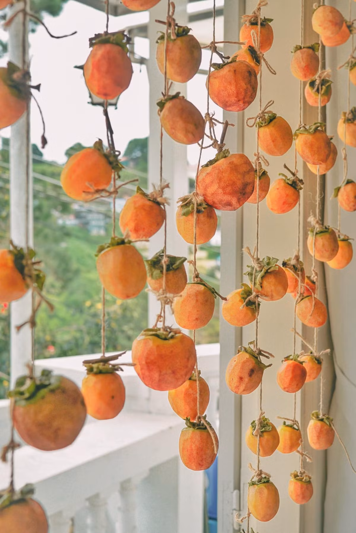 Dan hong treo gio cang ngam cang me cua nguoi vo “bo pho ve vuon“-Hinh-2