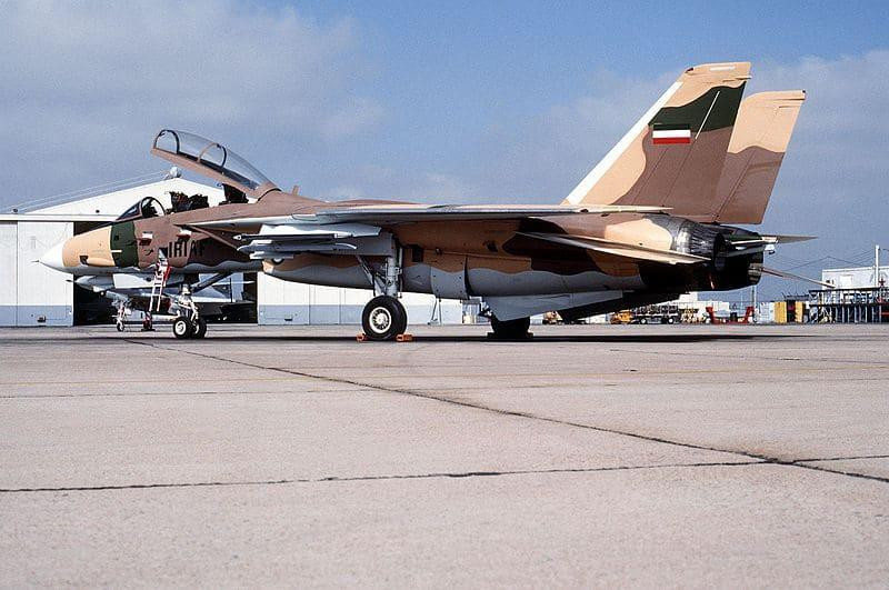 Tổng cộng đã có 712 chiếc được sản xuất từ 1969 - 1991. Giá thành của F-14 Tomcat là 38 triệu USD (1998). Mỹ đã loại biên và tăng cường các biện pháp an ninh để tránh phụ tùng của chúng lọt vào tay Iran.