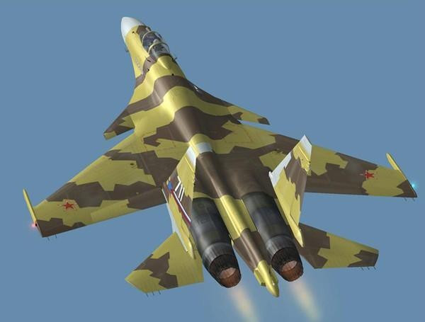 Chiến đấu cơ Su-37 được thêm vào một cặp cánh mũi, nó cải thiện khả năng cơ động của máy bay ở góc tấn cao và ở độ cao thấp.