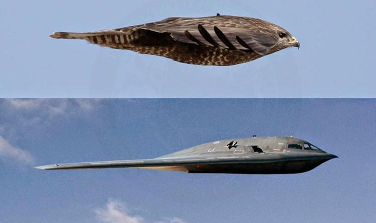 Kiểu thiết kế này không có phần thân, chỉ đơn giản là hai cánh cỡ lơn ghép lại với nhau ở giữa và ở phần này có một cơ cấu rỗng với khoang điều khiển và các thiết bị điện tử được lắp đặt.