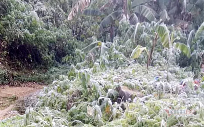 Theo dự báo, đợt không khí lạnh tiếp theo sẽ mang theo mưa phùn, khiến cho mùa đông năm nay thêm phần giá lạnh. Nguồn ảnh: Vietnamnet.