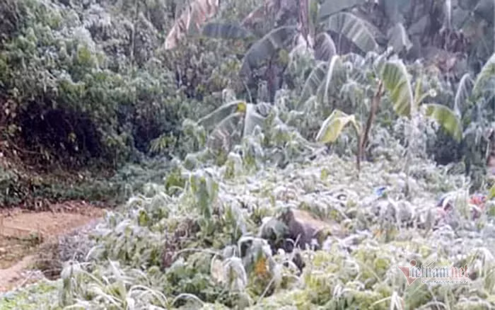 Theo dự báo, đợt không khí lạnh tiếp theo sẽ mang theo mưa phùn, khiến cho mùa đông năm nay thêm phần giá lạnh. Nguồn ảnh: Vietnamnet.