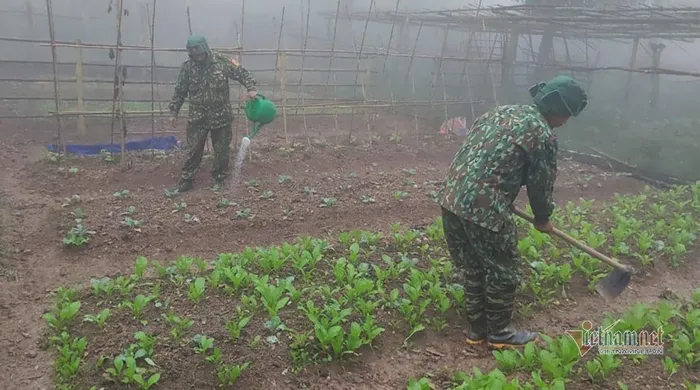 Chiến sĩ đồn cửa khẩu biên phòng Mỹ Lý vẫn tăng gia sản xuất trong cái lạnh khắc nghiệt của thời tiết. Nguồn ảnh: Vietnamnet.