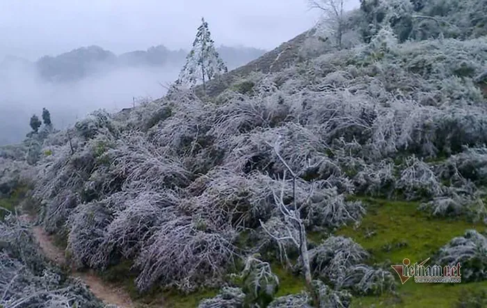 Khí hậu khắc nghiệt ở vùng núi biên giới Việt Nam trong những ngày giá rét vừa rồi. Nguồn ảnh: Vietnamnet.