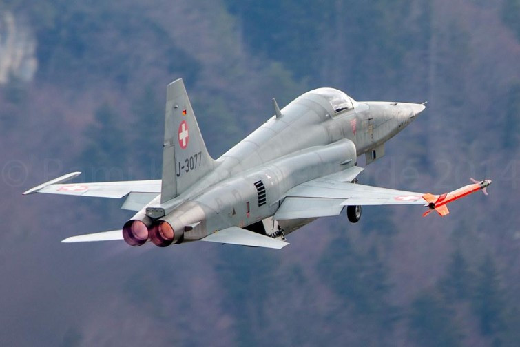 Tuy vậy có ý kiến cho lại cho rằng, việc mua chiến đấu cơ F-5E tiếp tục cho thấy sức mạnh và tiềm lực ngân sách dồi dào của không quân Mỹ.