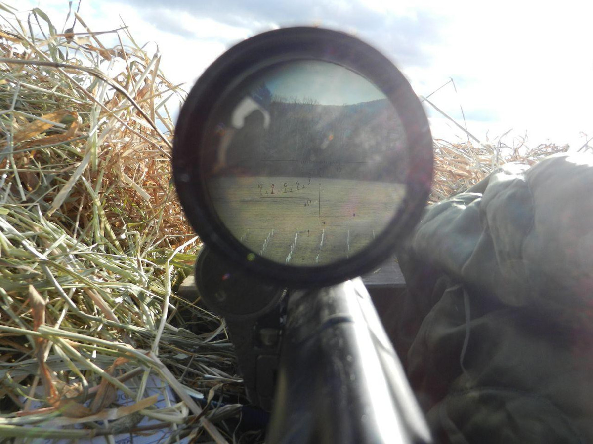 Ngoài đạn thông thường, súng Dragunov có thể bắn các loại đạn xuyên giáp, đạn vạch đường hay đạn cháy vào mục tiêu. Nòng súng cũng có thể gắn bộ phận giúp hạn chế tạo ra tia lửa sau khi đạn rời nòng. Nó giúp vị trí ẩn nấp của xạ thủ không bị lộ sau mỗi lần siết cò.