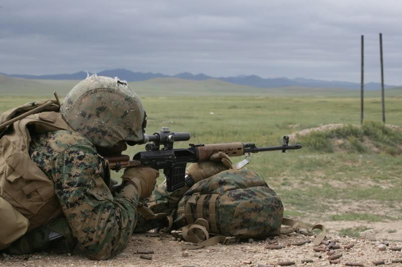 Trong suốt 50 năm qua, người ta tạo ra rất nhiều biến thể của Dragunov để phù hợp hơn với các điều kiện chiến đấu. Loại vũ khí này cũng được quân đội nhiều quốc gia sử dụng. Type 79 và Type 85 chính là phiên bản súng Dragunov được Trung Quốc sao chép.