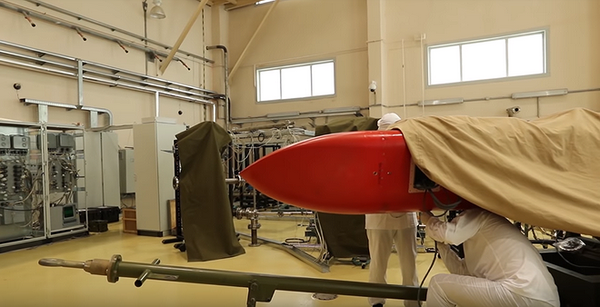 Giá thành để sản xuất ra thứ vũ khí mang quá nhiều công nghệ cao như vậy chắc chắn không thể rẻ. Nếu một quả Burevestnik cần tới số tiền hàng chục thậm chí hàng trăm triệu USD thì chẳng thể chế tạo với số lượng đủ lớn nhằm đáp ứng yêu cầu trang bị.