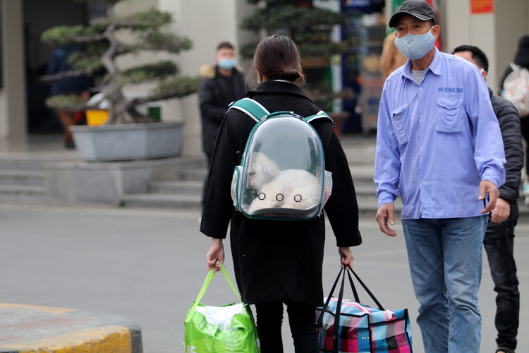 Không quên đem theo thú cưng cùng về quê.