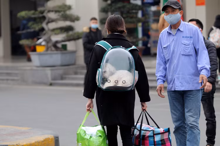 Không quên đem theo thú cưng cùng về quê.