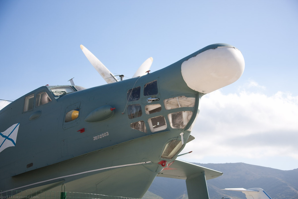 Loại thủy phi cơ săn ngầm này cũng có khả năng mang theo vũ khí rất đáng nể. Cụ thể, Beriev Be-12 mang theo được tối đa 3 tấn vũ khí, bao gồm nhiều loại ngư lôi khác nhau.