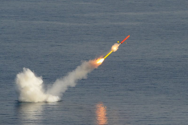 Độ chính xác cao của tên lửa hành trình, giúp nó có thể tấn công được cả những mục tiêu di động, ví dụ như tàu chiến của đối phương. Hầu hết các tên lửa chống hạm ngày nay (nếu không muốn nói là tất cả), đều là tên lửa hành trình.