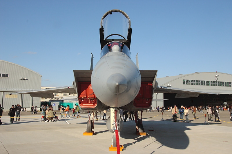 Đầu tiên phải kể đến Mitsubishi F-15J. Về cơ bản, có thể coi đây là loại tiêm kích F-15 được Nhật Bản sản xuất, lắp ráp trong nước nên có hậu tố J ở phía sau định danh.