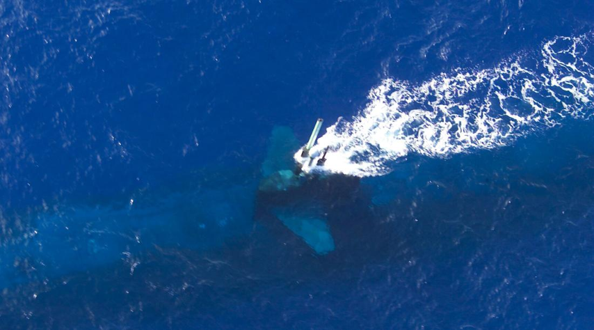 Mỗi tàu có thể mang 50 quả đạn gồm ngư lôi hạng nặng Mark 48, tên lửa chống hạm UGM-84 Harpoon, tên lửa hành trình Tomahawk và thủy lôi.