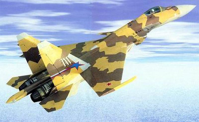 Những động tác nhào lộn được Su-37 thực hiện đã gây ấn tượng mạnh với những quan chức đến từ Ấn Độ, sau buổi biểu diễn, họ đã đến thăm gian hàng của Nga tại triển lãm và bắt đầu quan tâm sâu sắc việc đặt mua máy bay chiến đấu mới của Nga.