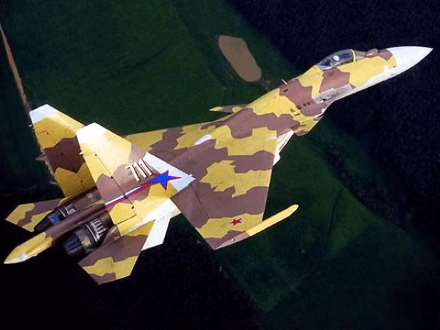 Phái đoàn Ấn Độ được thông báo rằng tiêm kích Su-37 là một dự án thử nghiệm, loại máy bay này được tạo ra trên cơ sở Su-27 đã được kiểm chứng qua thời gian dài phục vụ với nhiều cải tiến.