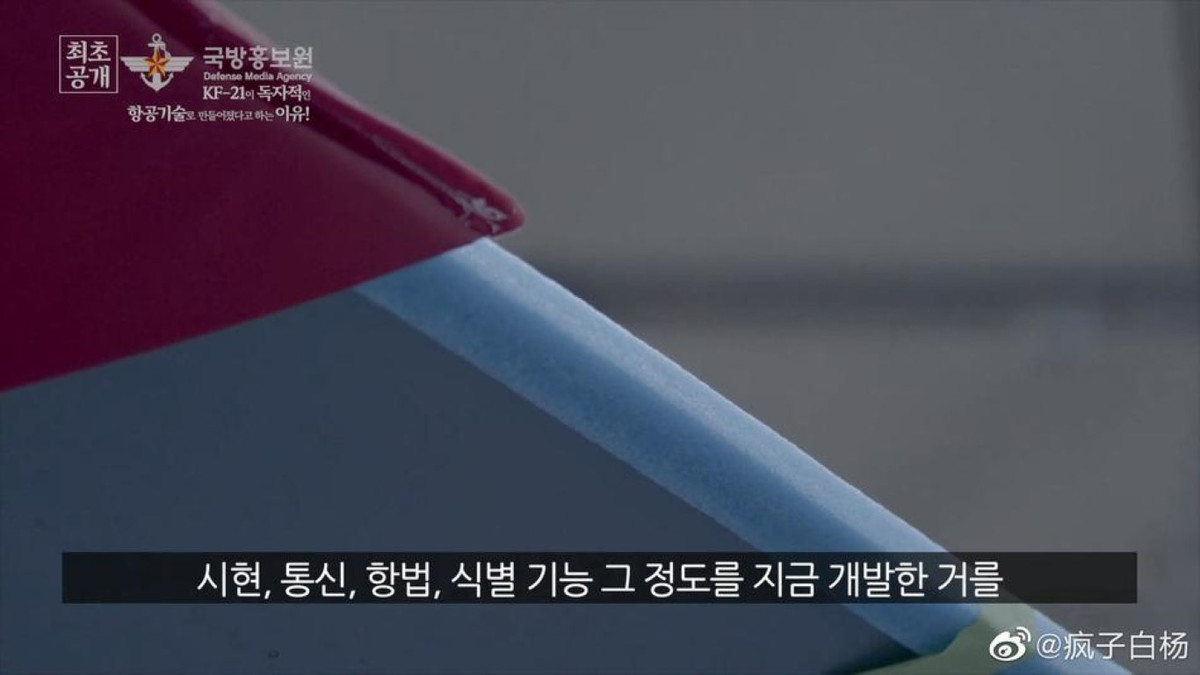 Tuy nhiên nhiều chuyên gia cho rằng, việc bổ sung thêm khoang chứa vũ khí bên trong thân máy bay, là điều bất khả thi, vì nó sẽ ảnh hưởng tới toàn bộ thiết kế của chiếc tiêm kích, đòi hỏi phải thiết kế lại từ đầu toàn bộ khung thân.